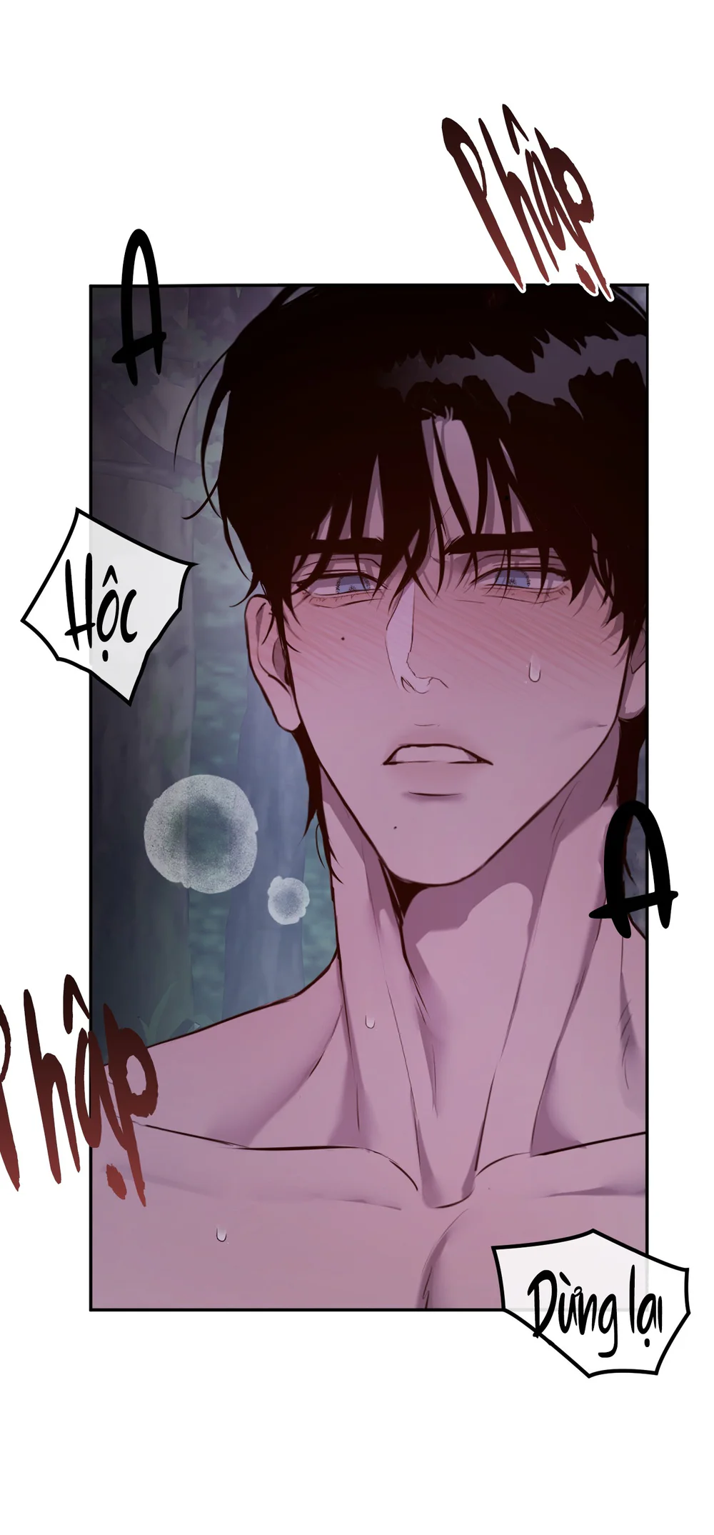 LÀM TỔ Chapter 5 - Next Chapter 6