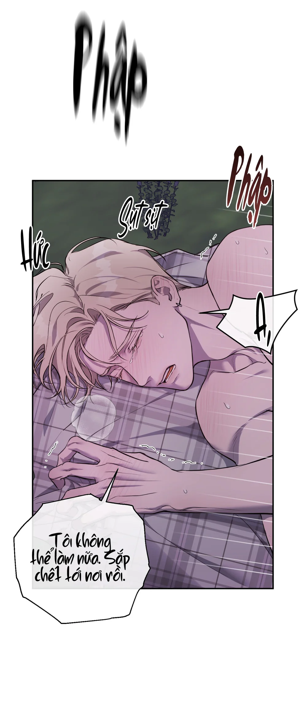 LÀM TỔ Chapter 5 - Next Chapter 6