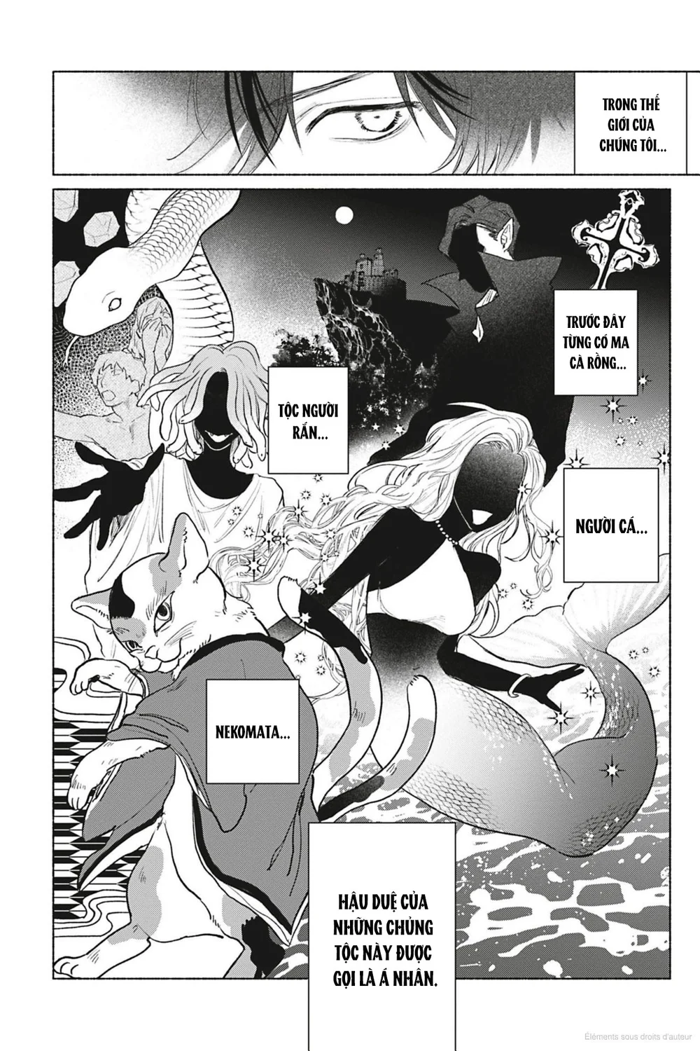 Crush vừa yêu vừa khó chiều Chapter 1 - Next Chapter 2