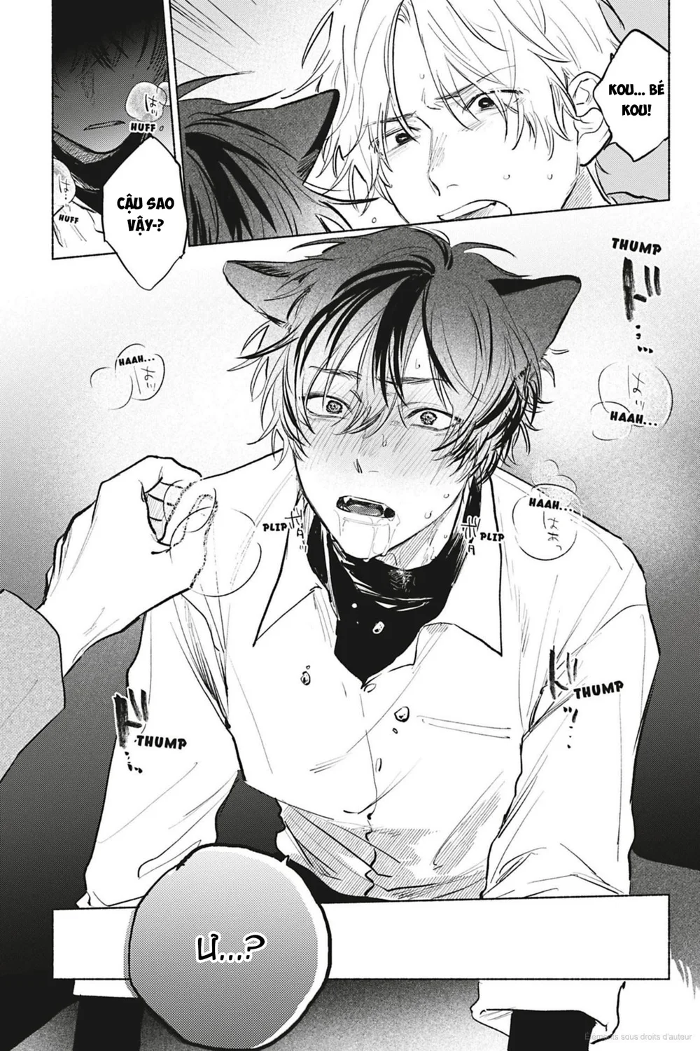 Crush vừa yêu vừa khó chiều Chapter 1 - Next Chapter 2