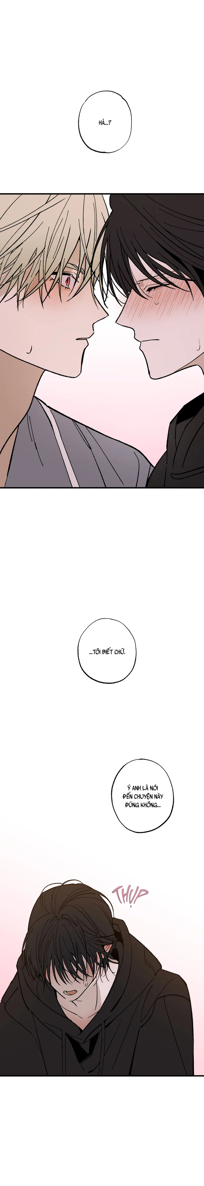 Chứng Nhận Quan Hệ Gia Đình Chapter 14 - Next Chapter 15