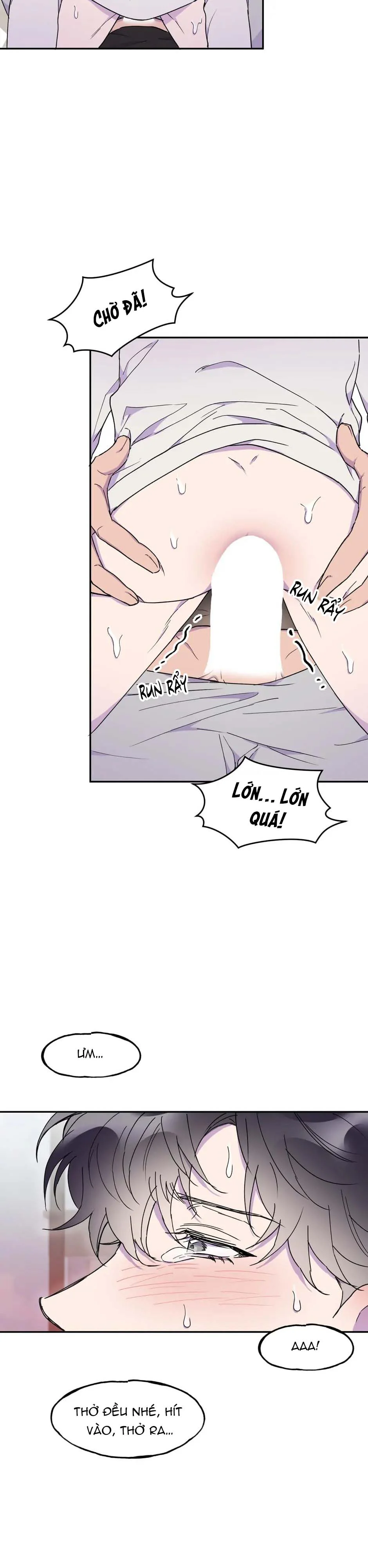 Nụ Hôn Định Mệnh Chapter 14 - Next Chapter 15