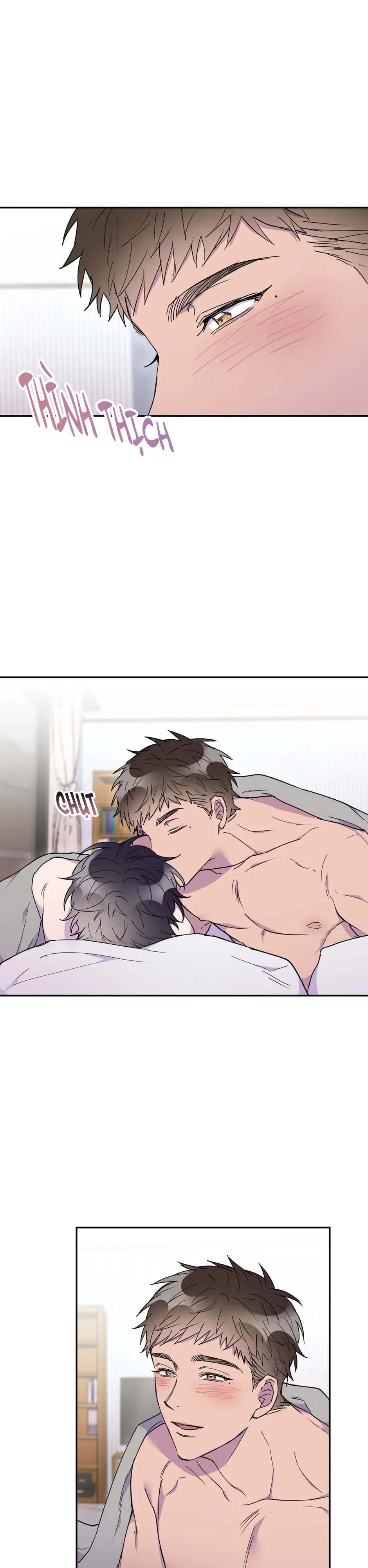 Nụ Hôn Định Mệnh Chapter 14 - Next Chapter 15