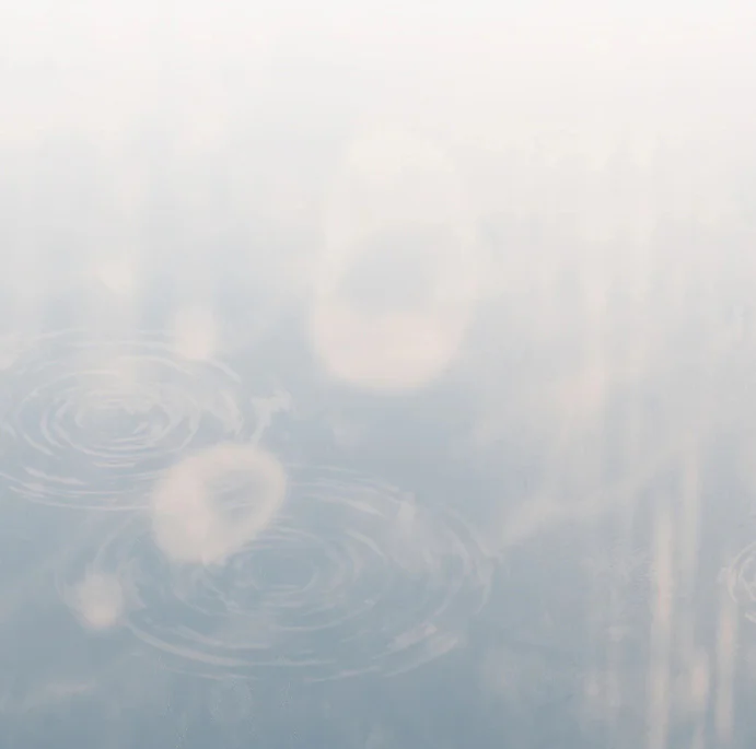 Biscuit Chapter 13 - Next Chapter 14 H