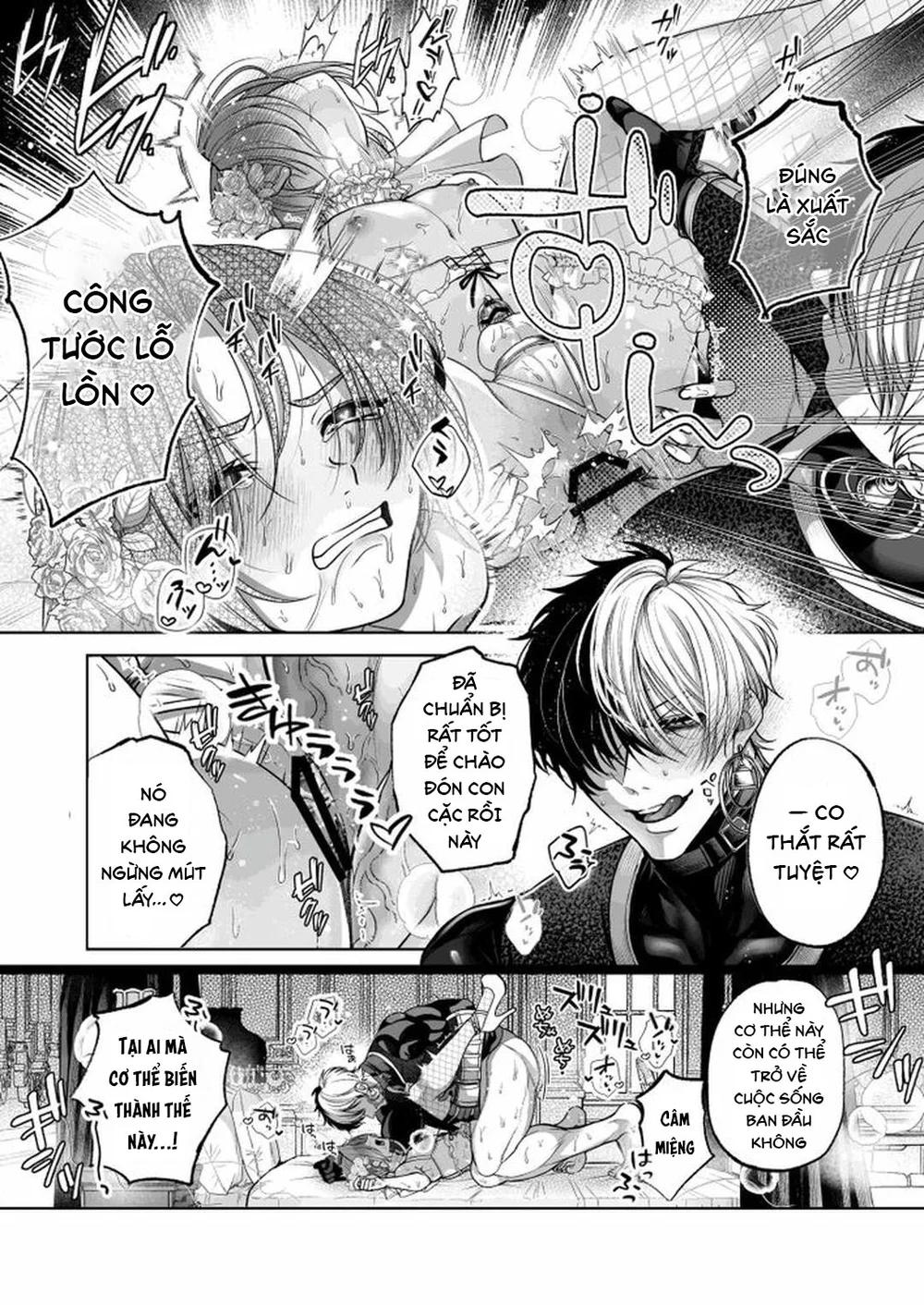 Đutanbao Shota Chapter 116 - Next Chapter 117