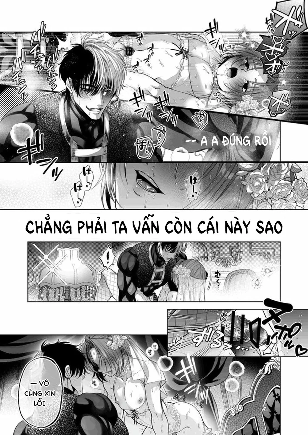Đutanbao Shota Chapter 116 - Next Chapter 117