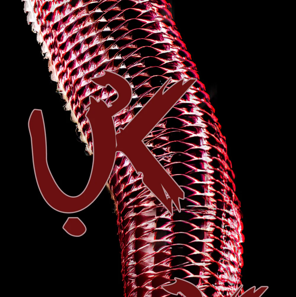 CHUYỆN QUỶ MÔN QUAN Chapter 106 - Next Chapter 107