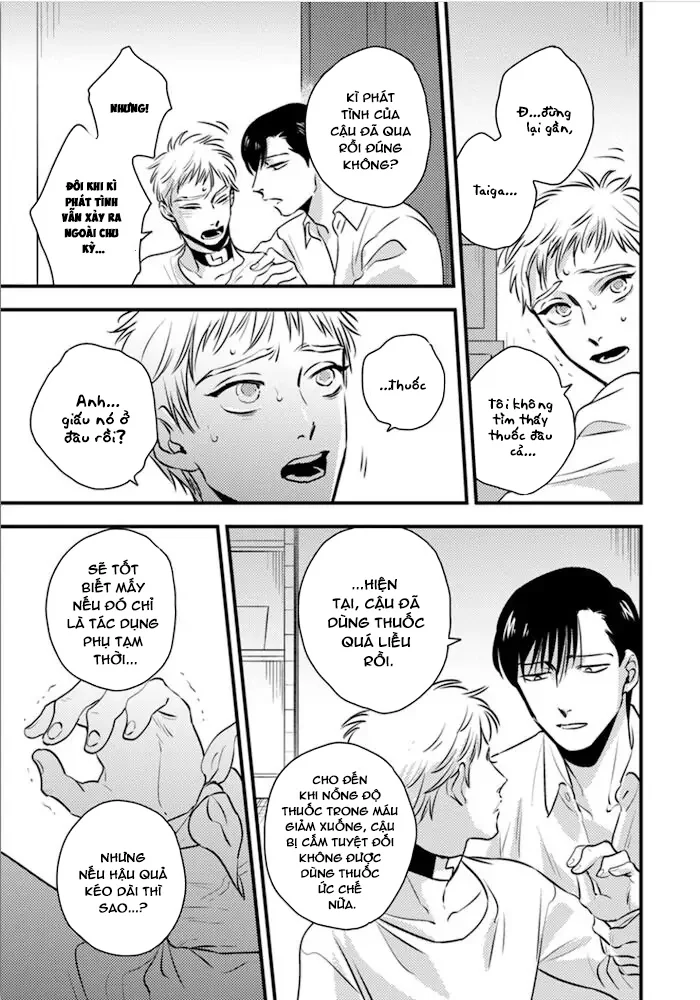 Ranh Giới Tuổi Trẻ Chapter 12 - Next Chapter 12.5 H