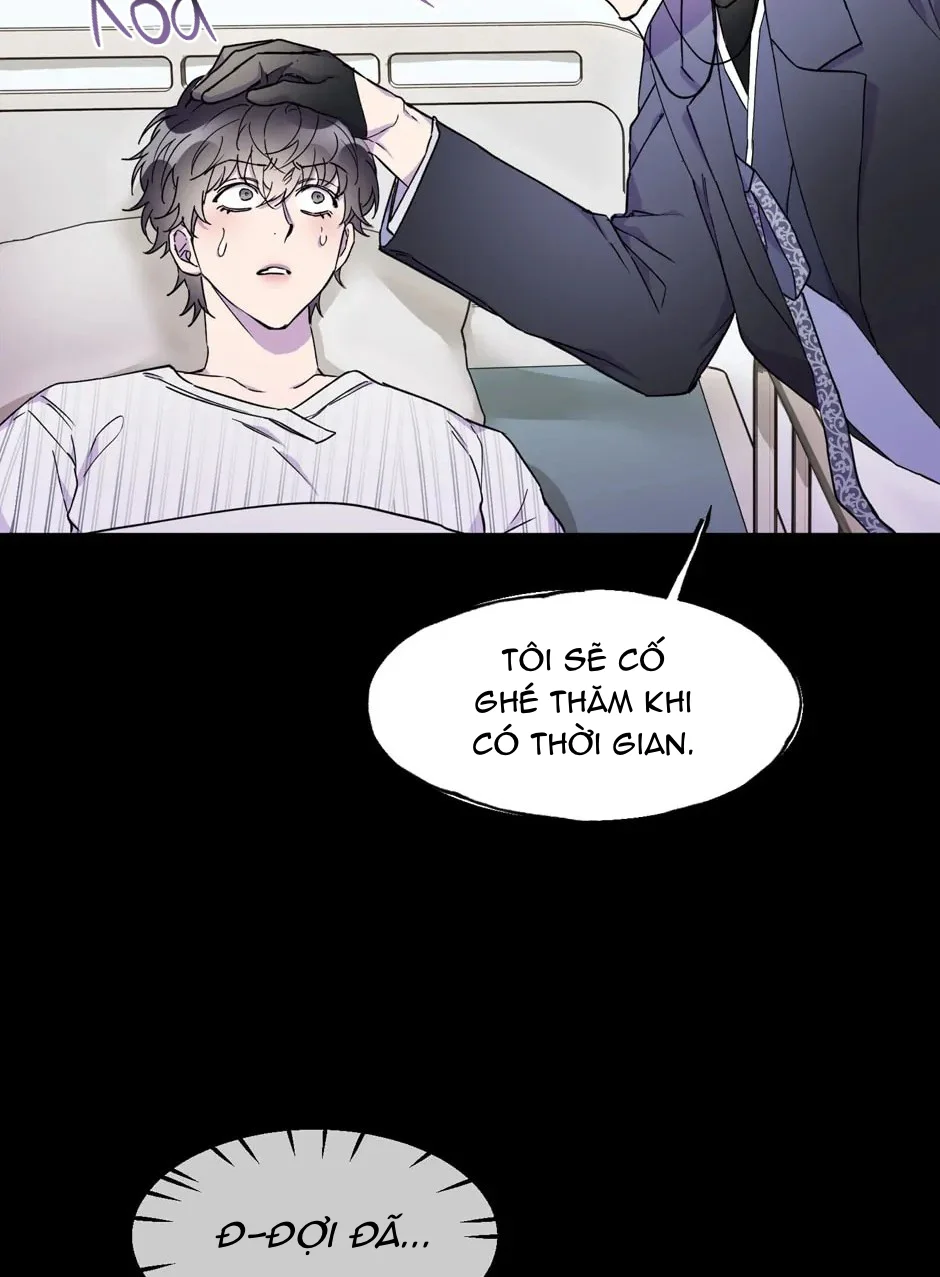 Nụ Hôn Định Mệnh Chapter 15 - Next Chapter 16