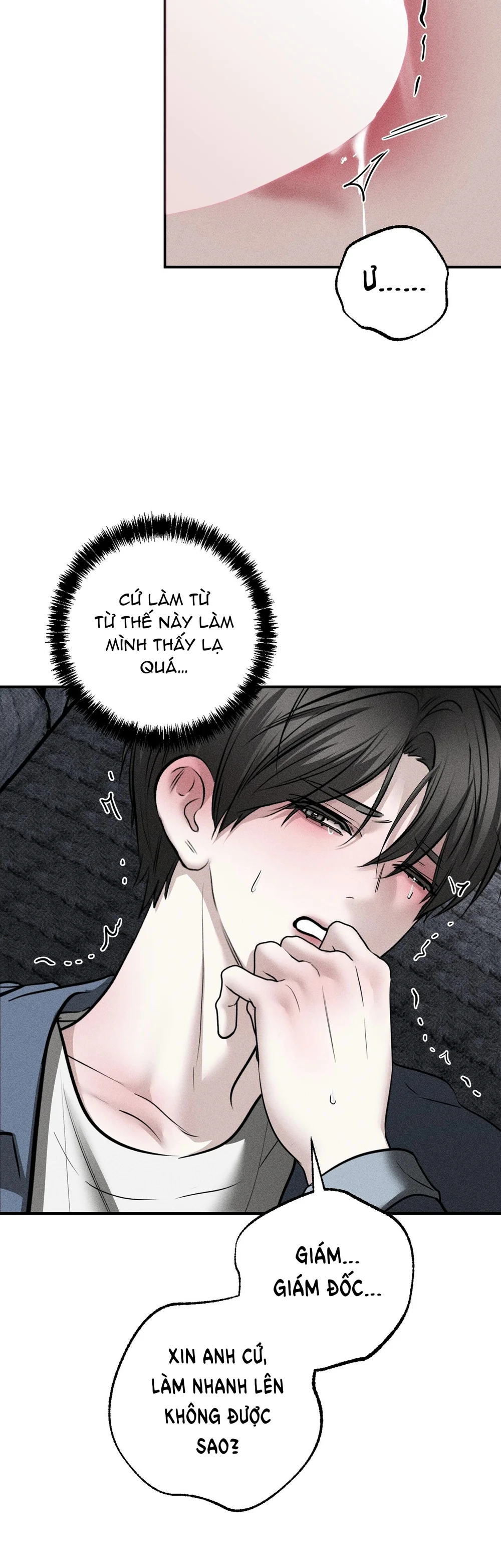 Kẻ đánh cắp con tim Chapter 19 - Next Chapter 20