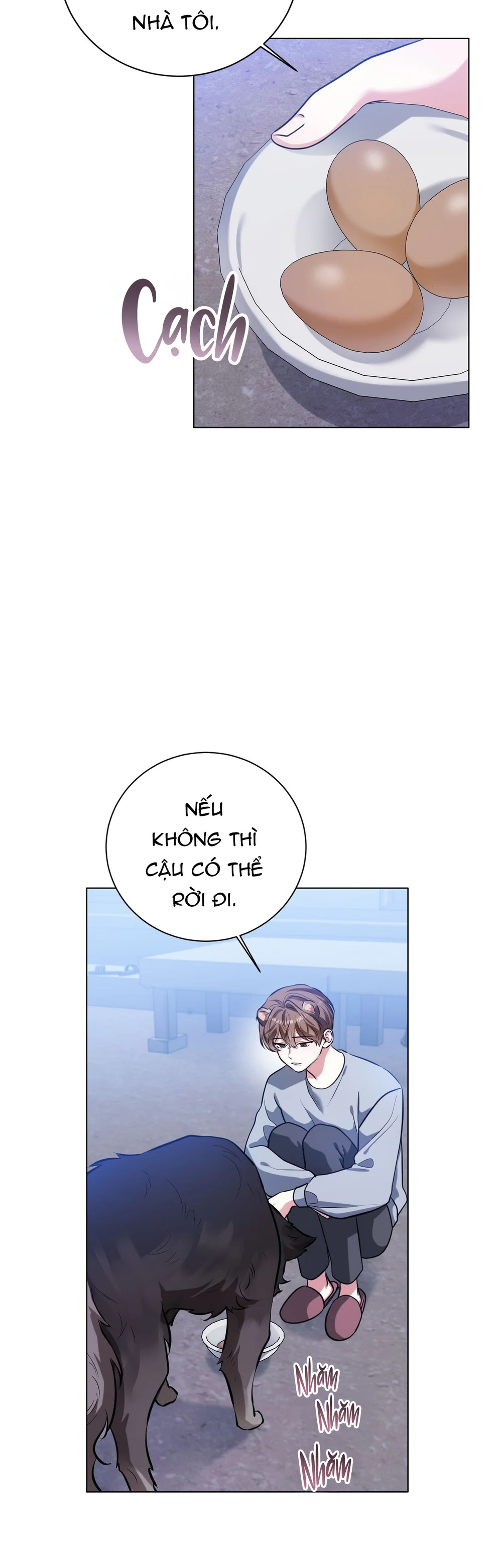 Cảnh Báo Thú Săn Mồi Chapter 5 - Next Chapter 6