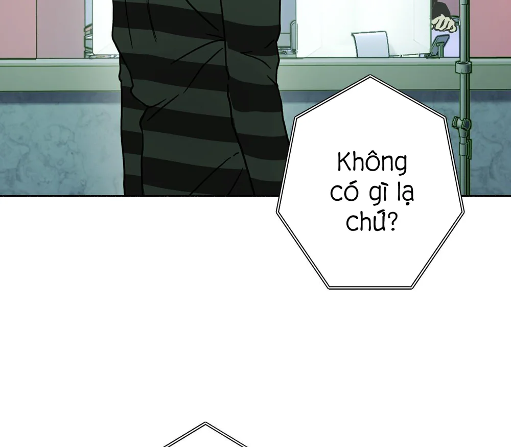 Hạnh Phúc Cùng Nhau Chapter 14 - Next Chapter 15