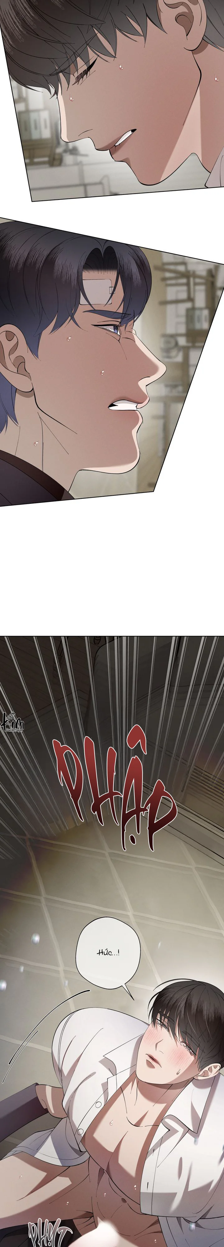 BL NGẮN LOẠN LUÂN - GIA ĐÌNH Chapter 12.7 dòng máu end - Next Chapter 13.1 bí mật ẩn giấu1