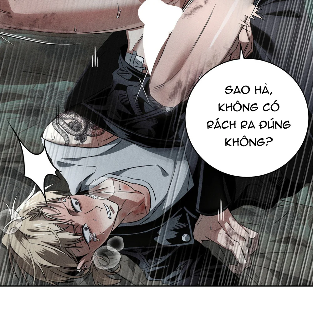 ANH EM TƯƠNG TÀN Chapter 4 - Next Chapter 5