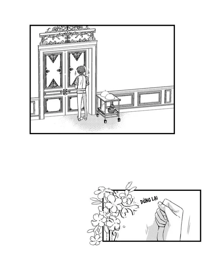 Chàng hoàng tử hoàn hảo yêu tôi, tình địch của anh ấy? Chapter 49 - Next Chapter 50