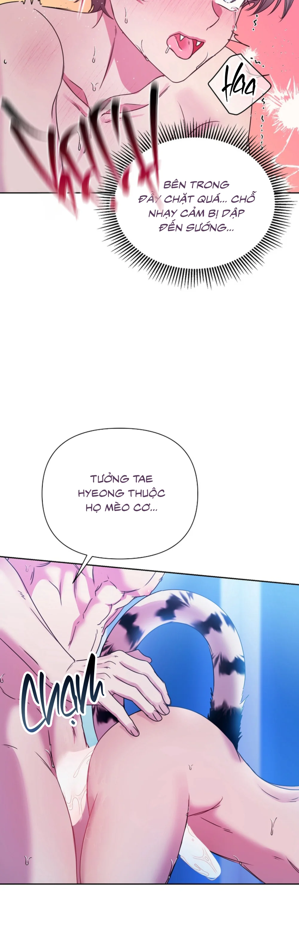 TRUYỂN TẬP - NHỮNG CON KU NÚNG NÍNH Chapter 27 19+ BAEKDU (C6) - Next Chapter 28 19+ LỤC PHỦ C1