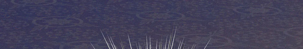 RẮN NUỐT LỰU Chapter 29 - Next Chapter 30