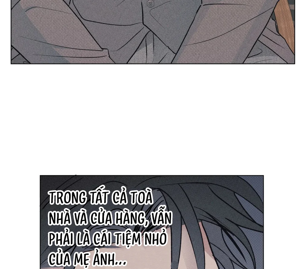 Định Mệnh Sai Lầm Chapter 16 - Next Chapter 17