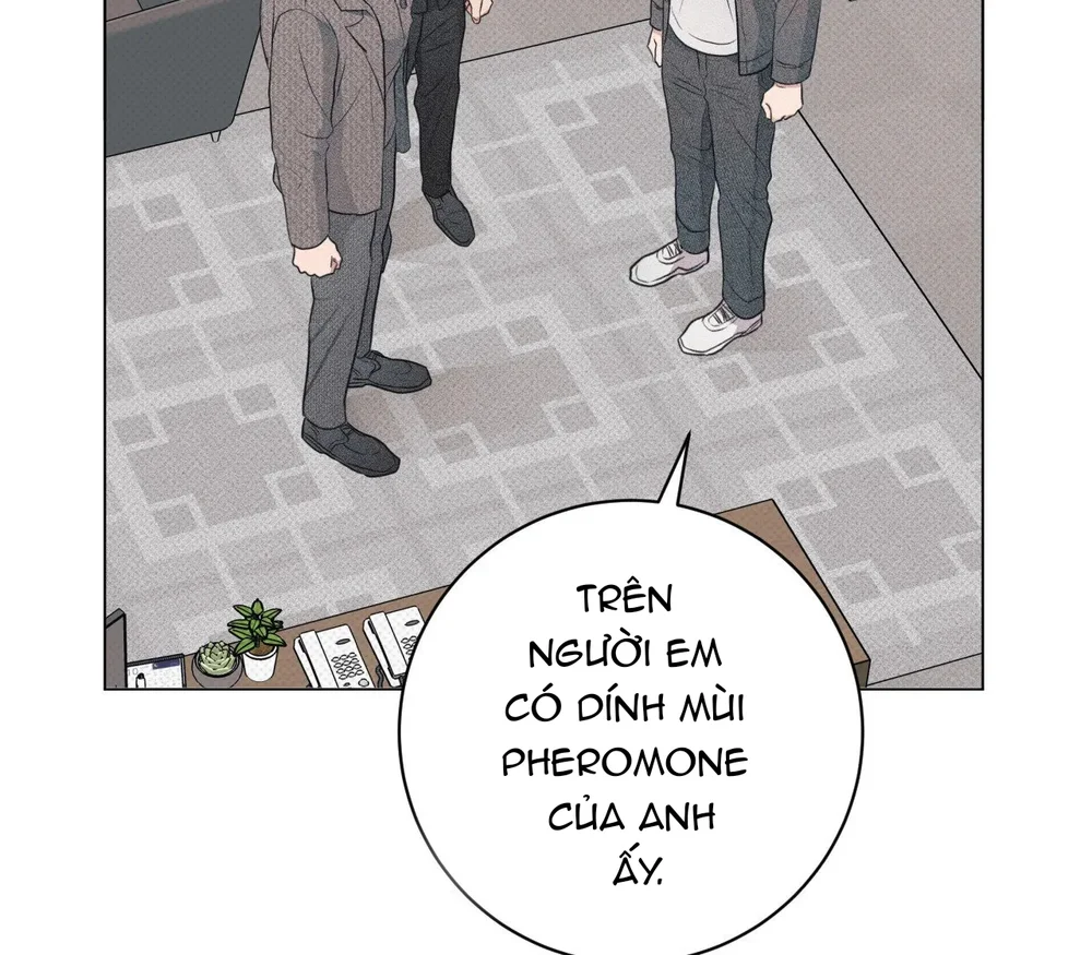 Định Mệnh Sai Lầm Chapter 16 - Next Chapter 17