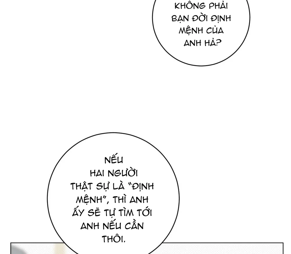 Định Mệnh Sai Lầm Chapter 16 - Next Chapter 17