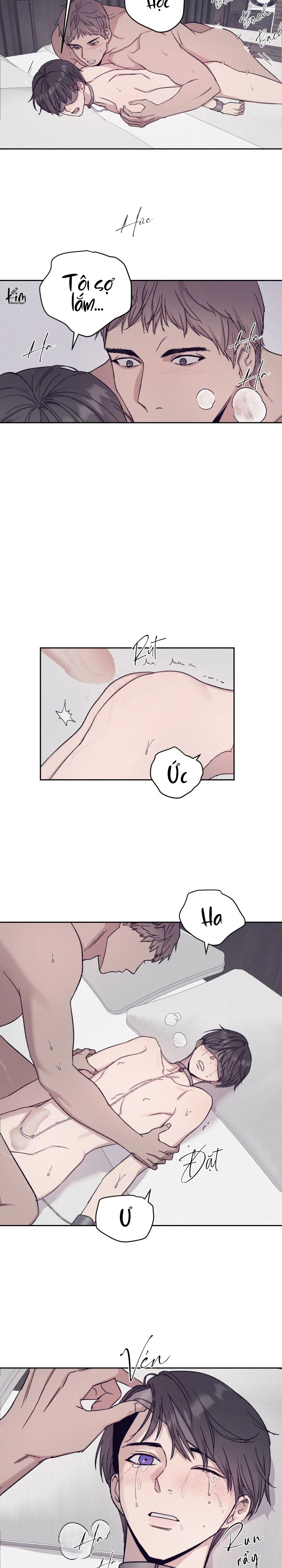 TUYỂN TẬP NHẤT THỤ ĐA CÔNG CỦA NHÀ KIM Chapter 50.5 estoxin end - Next Chapter 51.1 chai rượu 1