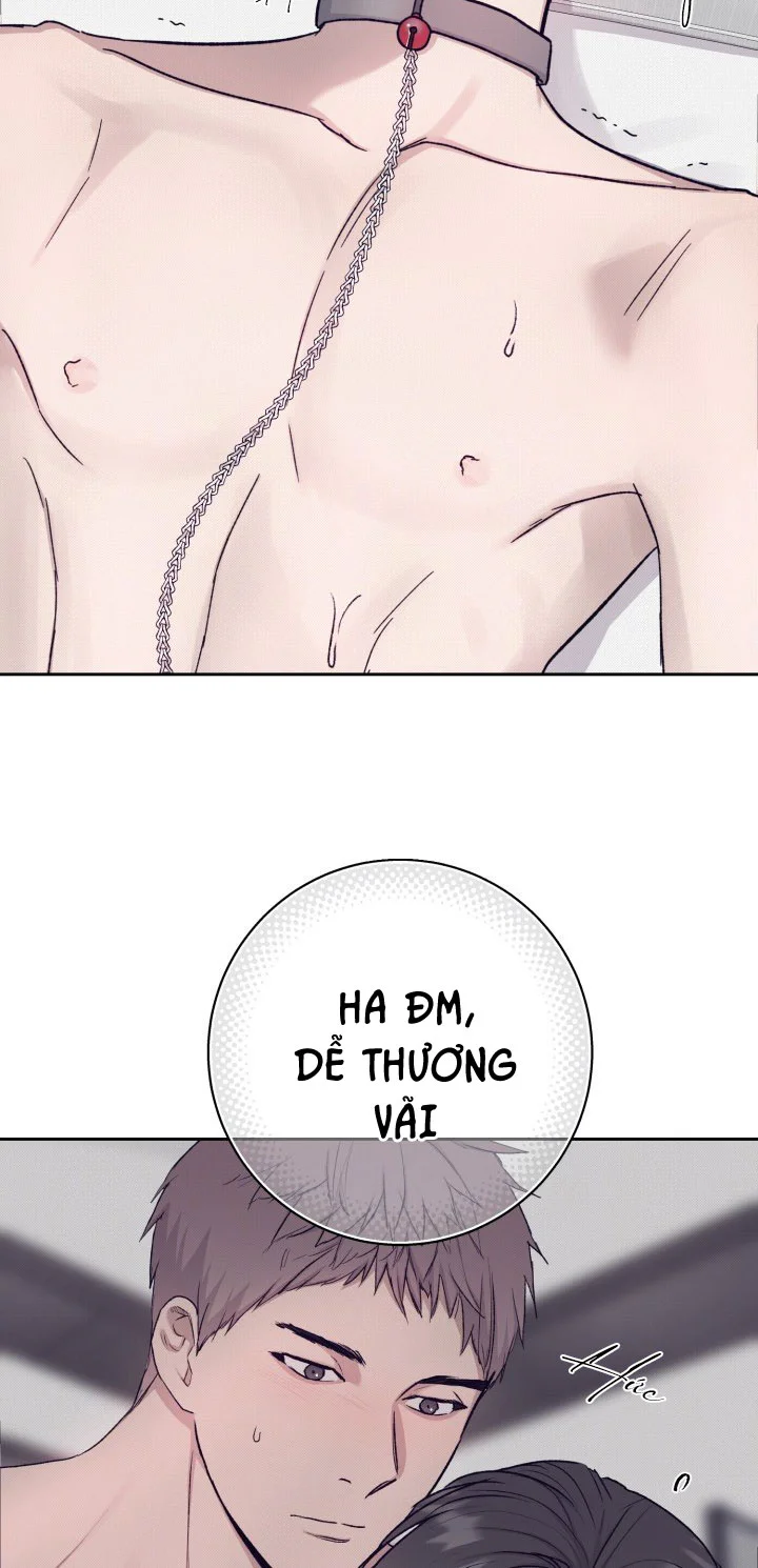 TUYỂN TẬP NHẤT THỤ ĐA CÔNG CỦA NHÀ KIM Chapter 50.5 estoxin end - Next Chapter 51.1 chai rượu 1