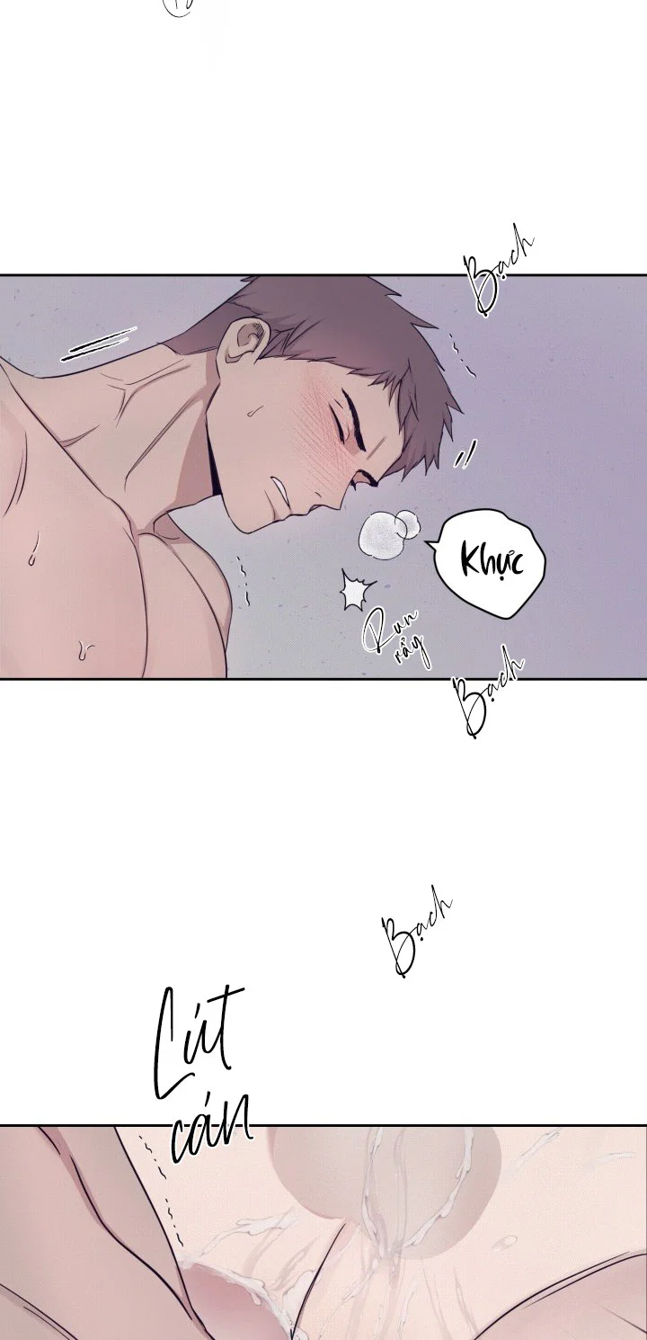 TUYỂN TẬP NHẤT THỤ ĐA CÔNG CỦA NHÀ KIM Chapter 50.5 estoxin end - Next Chapter 51.1 chai rượu 1