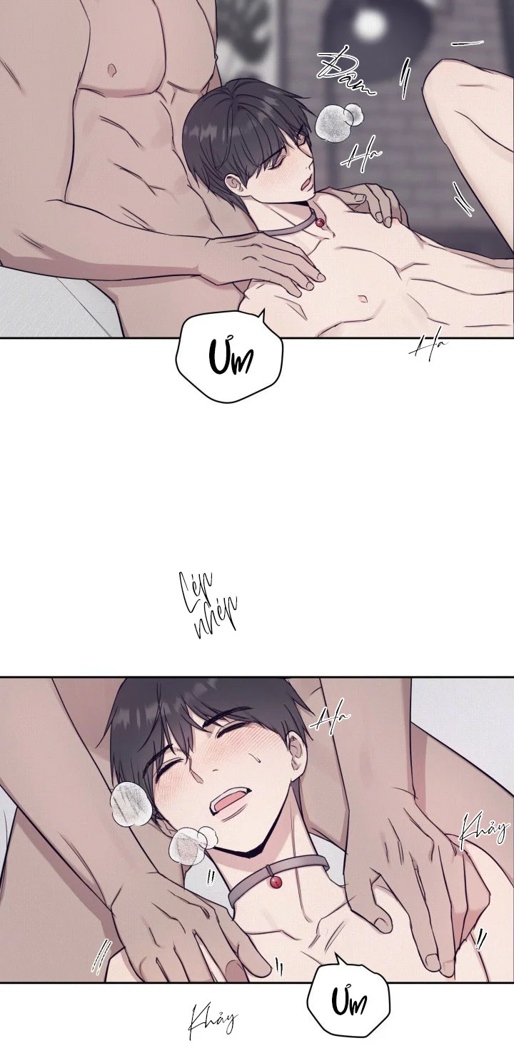 TUYỂN TẬP NHẤT THỤ ĐA CÔNG CỦA NHÀ KIM Chapter 50.5 estoxin end - Next Chapter 51.1 chai rượu 1