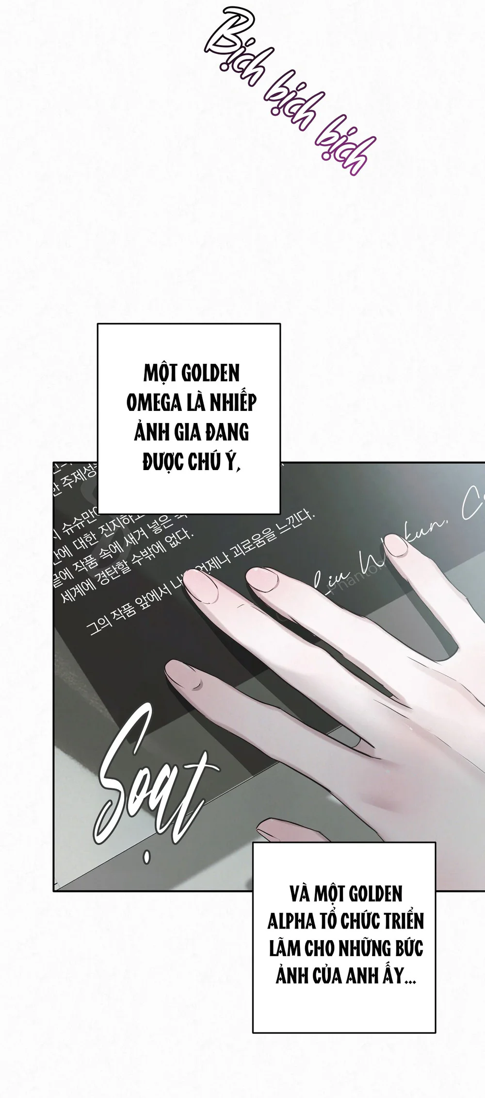 DIAMOND DUST Chapter 8 - Next 