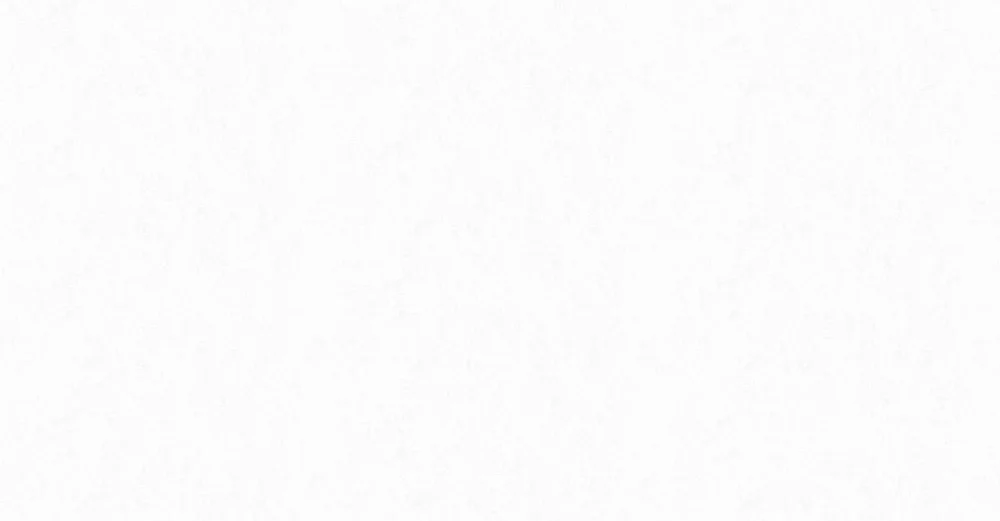 DIAMOND DUST Chapter 8 - Next 