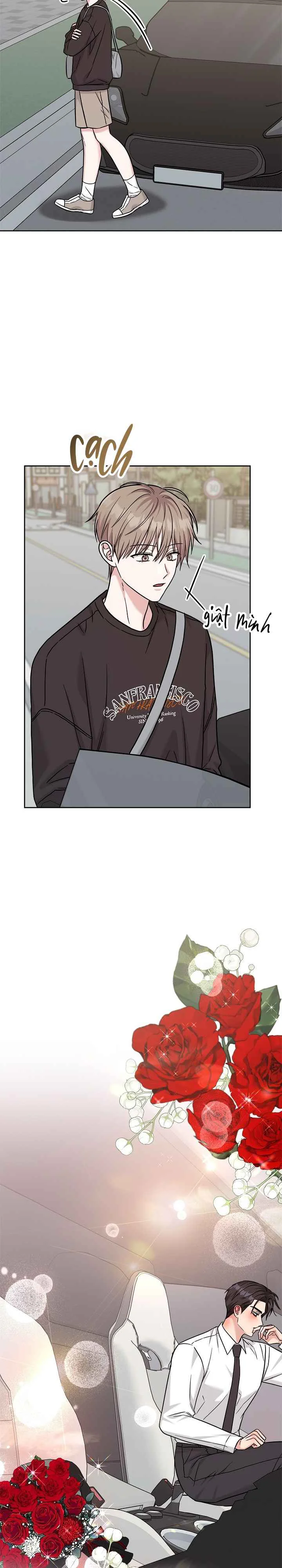 BẢN SAO ÂM HƯỞNG Chapter 83 - Next Chapter 84