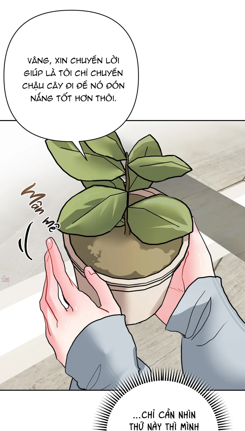 (AB0) Peppermint Candy Chapter 16 - Next Chapter 17