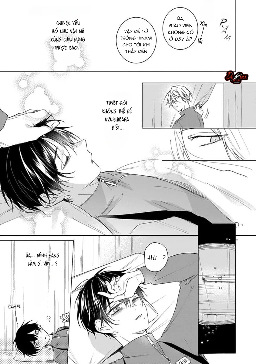 [END] Hina Xinh Đẹp Vẫn Chưa Biết Yêu Chapter 8 - Next Chapter 9