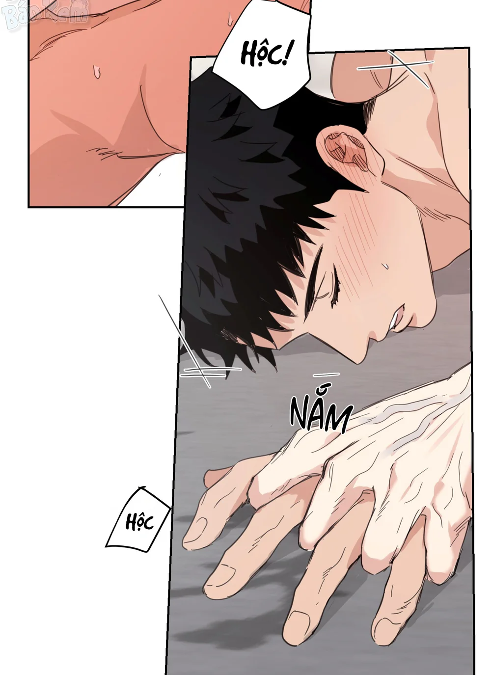 NGÔI NHÀ HƯỚNG MẶT TRỜI MỌC Chapter 67 H+++ - Next Chapter 68