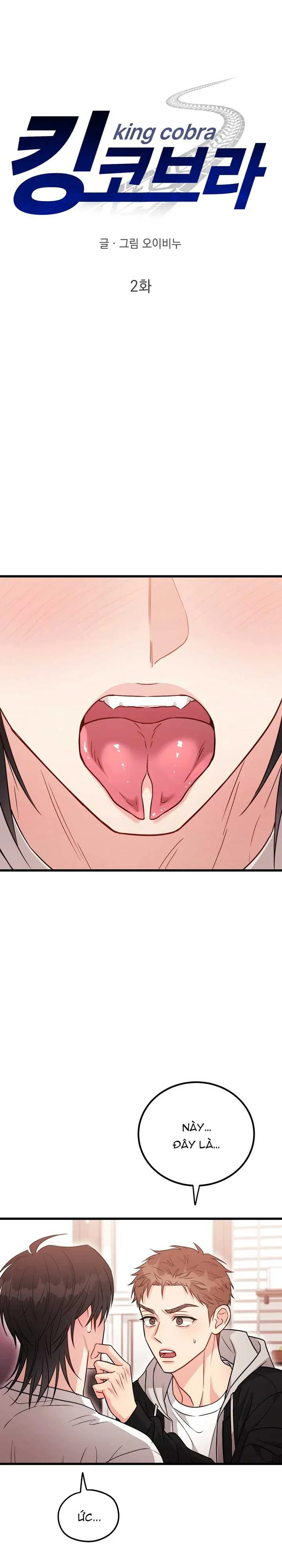 TUYỂN TẬP MANHWA NGẮN BÍ MẬT CƠ THỂ Chapter 9 King Cobra - Next Chapter 10 King Cobra - E