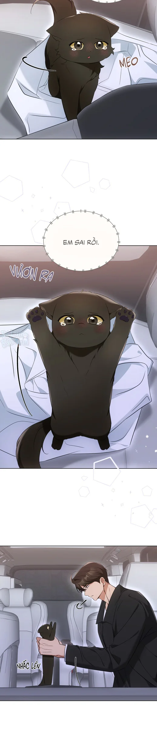 LIỆU PHÁP TRỊ LIỆU MÈO Chapter 14 - Next Chapter 15