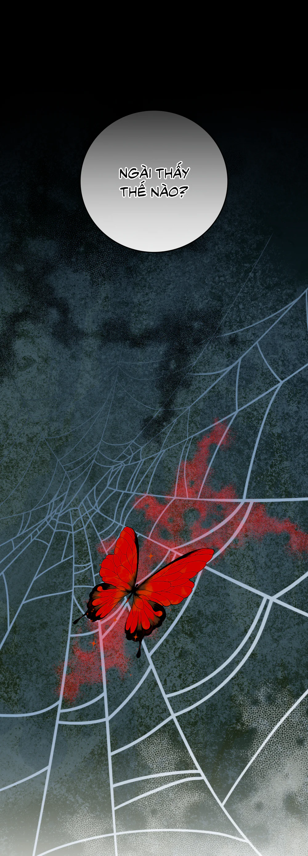 Con đường hoa trong đêm trắng Chapter 9 - Next Chapter 10