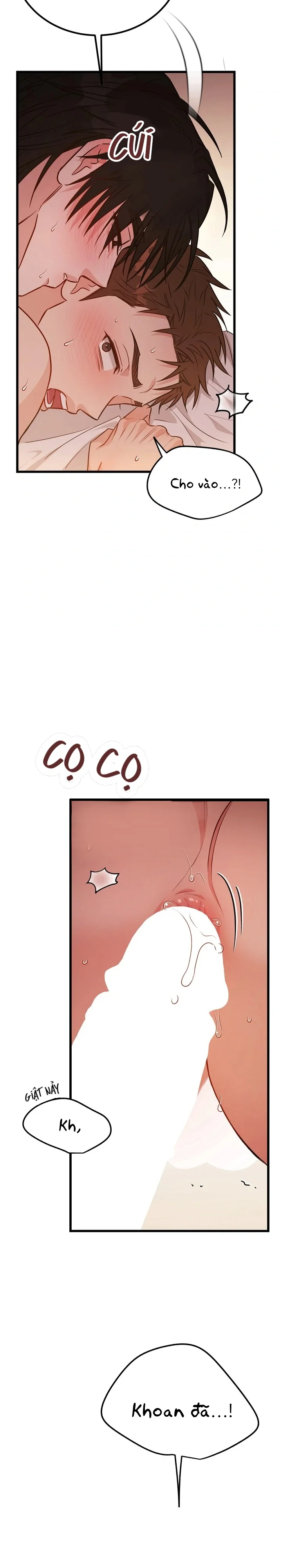 TUYỂN TẬP MANHWA NGẮN BÍ MẬT CƠ THỂ Chapter 10 King Cobra - E - Next Chapter 11 Trai Có Lồn