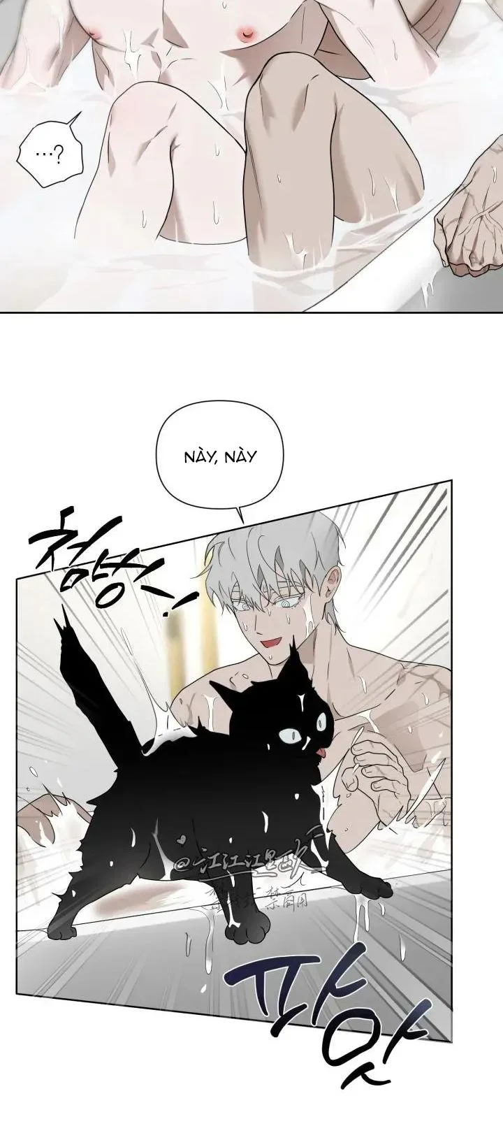 TUYỂN TẬP MANHWA NGẮN BÀI DUỐI Chapter 7 Nhật ký búp bê - Next Chapter 8 H+++++