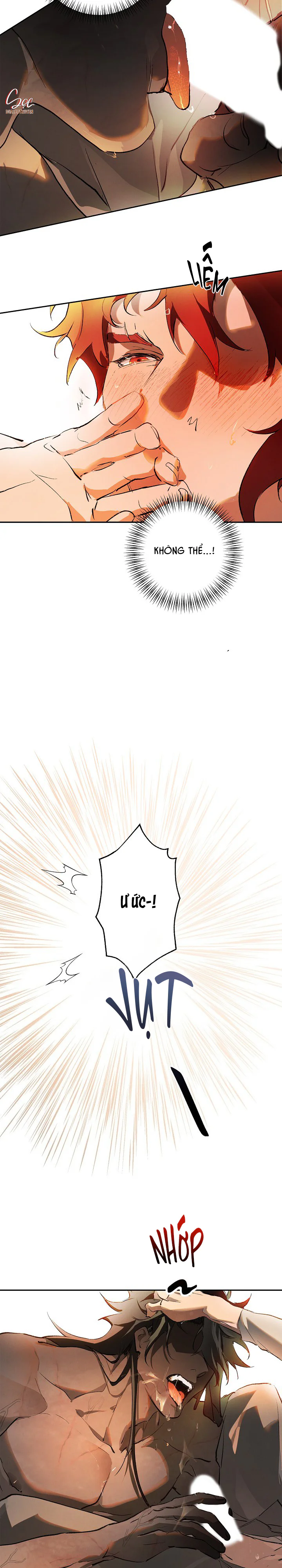 LỜI NGUYỀN MÀU ĐỎ CỦA HIỆP SĨ Chapter 7 - Next Chapter 8 nt end