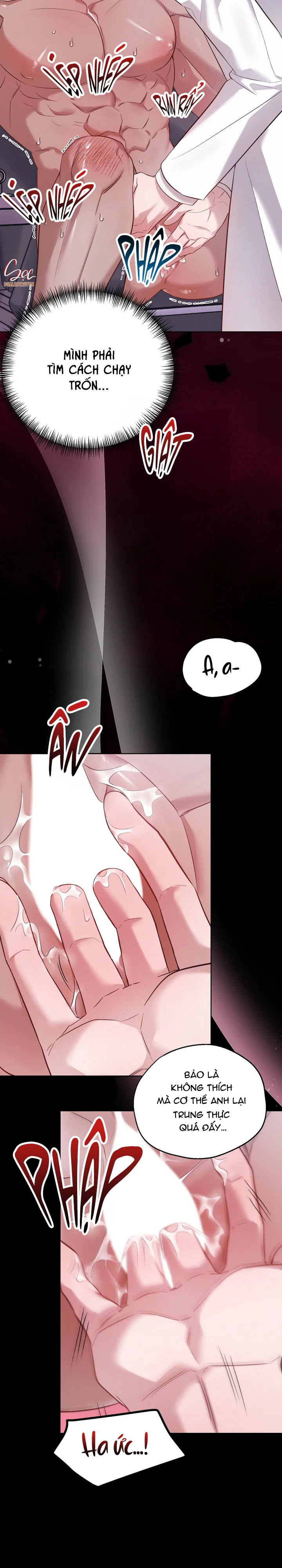 HÃY CHÚ Ý CÁC ĐIỀU KHOẢN TRONG HỢP ĐỒNG Chapter 2 - Next Chapter 3