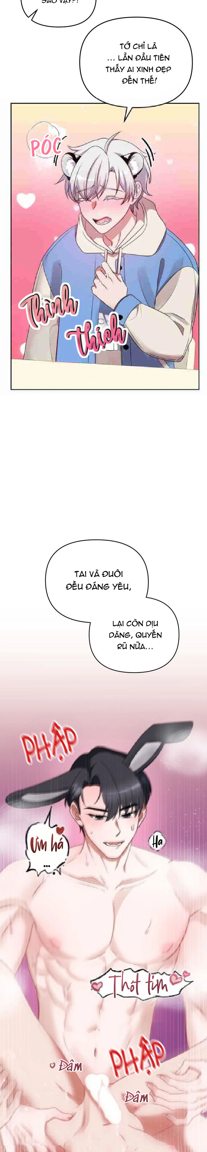 Cắm Cờ Lên Đầu Hổ Núi Baekdu Chapter 3 H - Next Chapter 4 H+++++