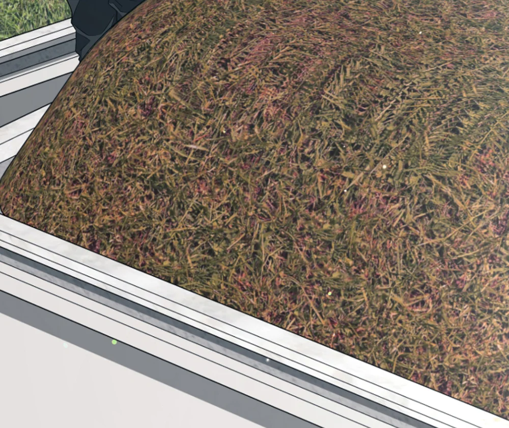 SỰ THẬT TRẦN TRỤI Chapter 39 - Next Chapter 40