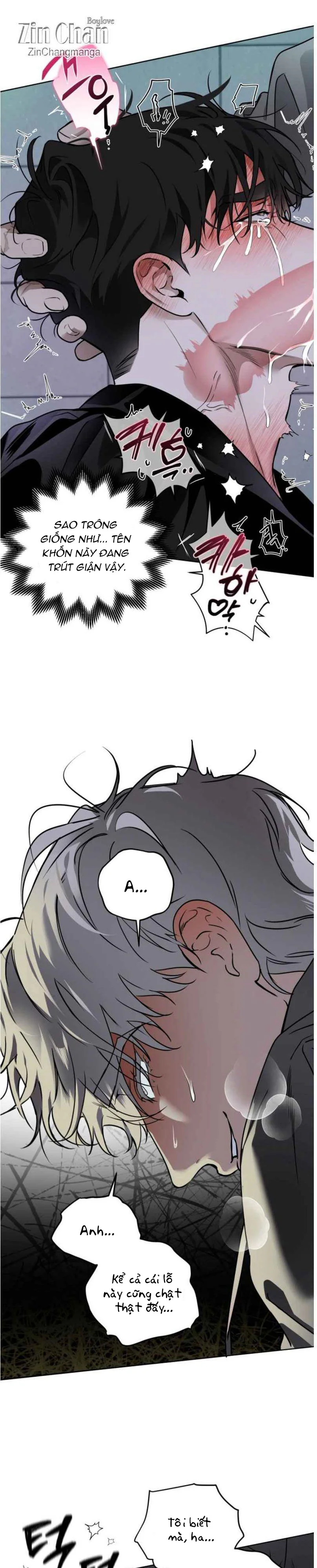 TUYỂN TẬP MANHWA NGẮN BÀI DUỐI Chapter 8 H+++++ - Next Chapter 9 H+ - End