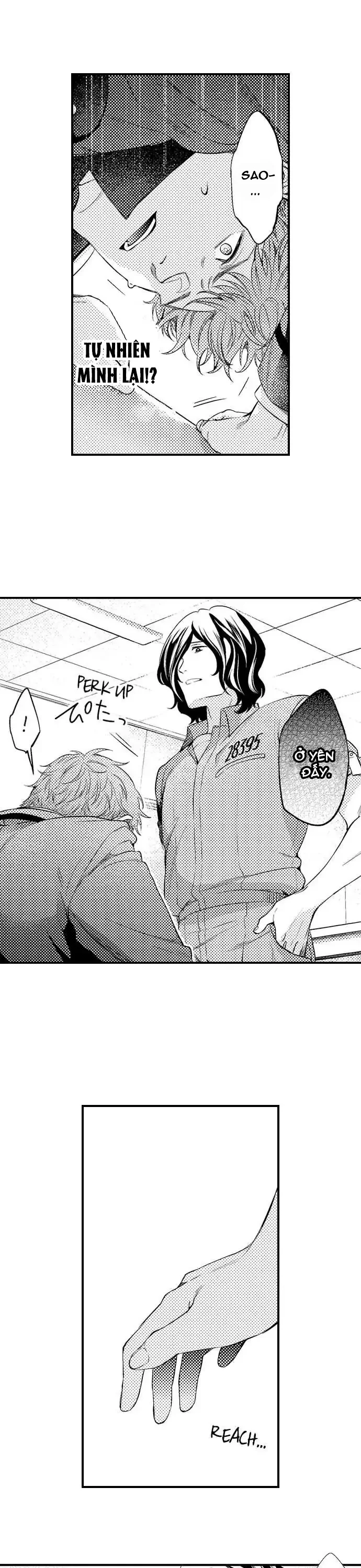 Khao khát quỳ xuống như một con chó ngoan Chapter 3 H - Next 