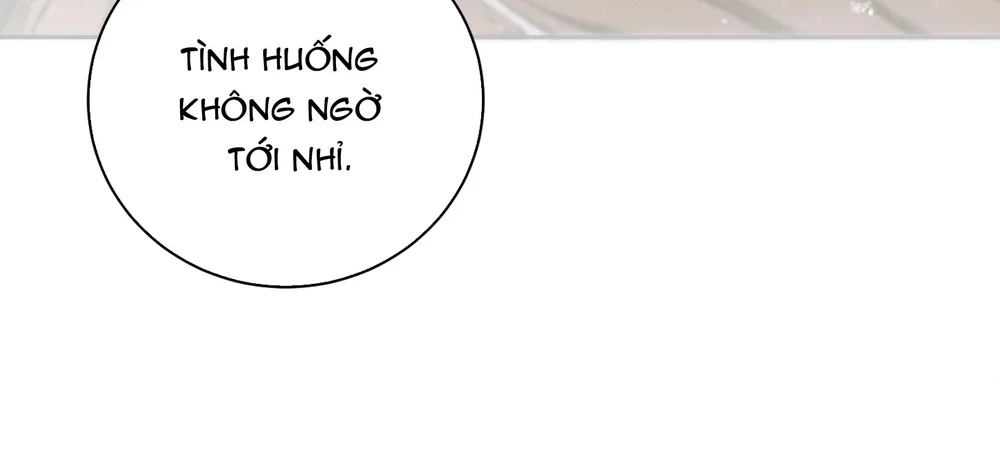 Hãy chết trong vòng tay của tôi Chapter 15 - Next Chapter 16