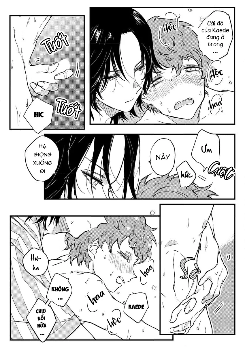 Khuôn Mặt Mà Tôi Chưa Từng Thấy Ở Tên Dâm Đãng Đó Chapter 15 - Next Chapter 16