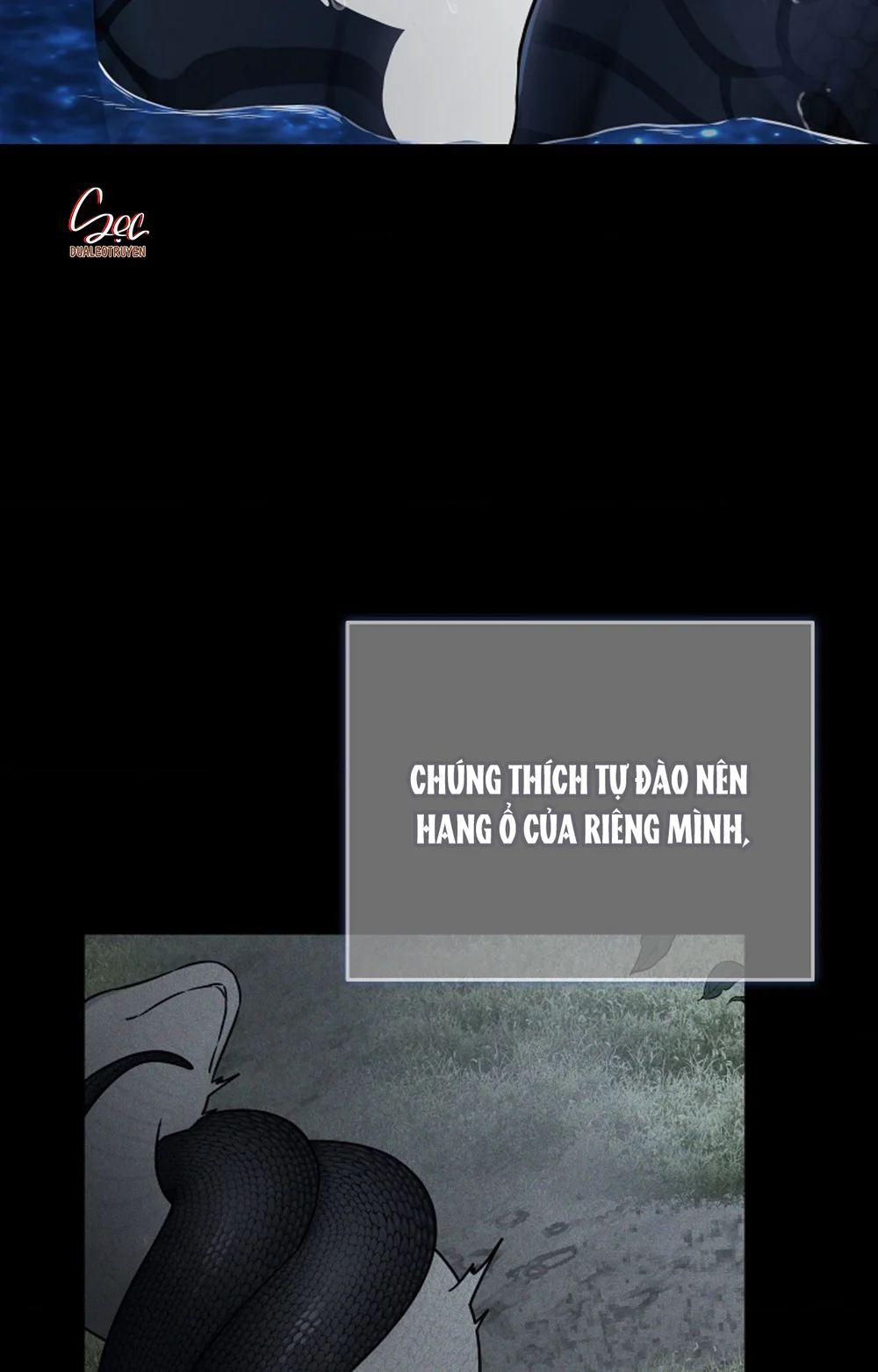 HANG RẮN Chapter 16 - Next 