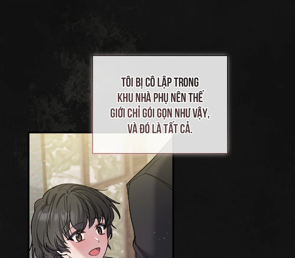 KISS THE SCUMBAG Chapter 11 - Next 