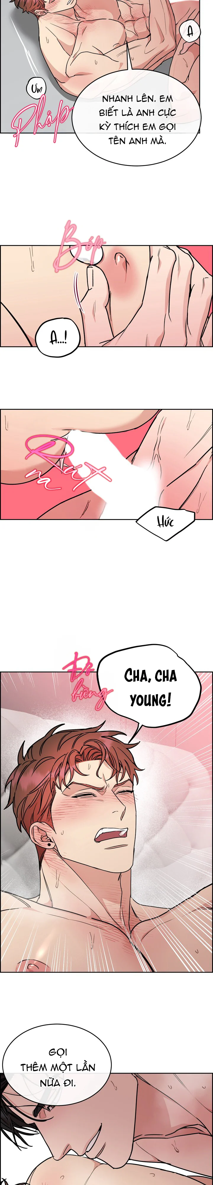 CHÓ VÀ CHIM Chapter 61 - Next 